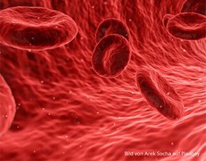 Rote Blutkörperchen in der Blutbahn